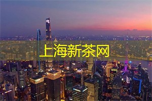 深入探讨上海的地方戏曲文化